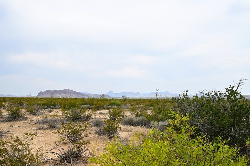 G367 S Martinez Rd, Terlingua, Texas image 6