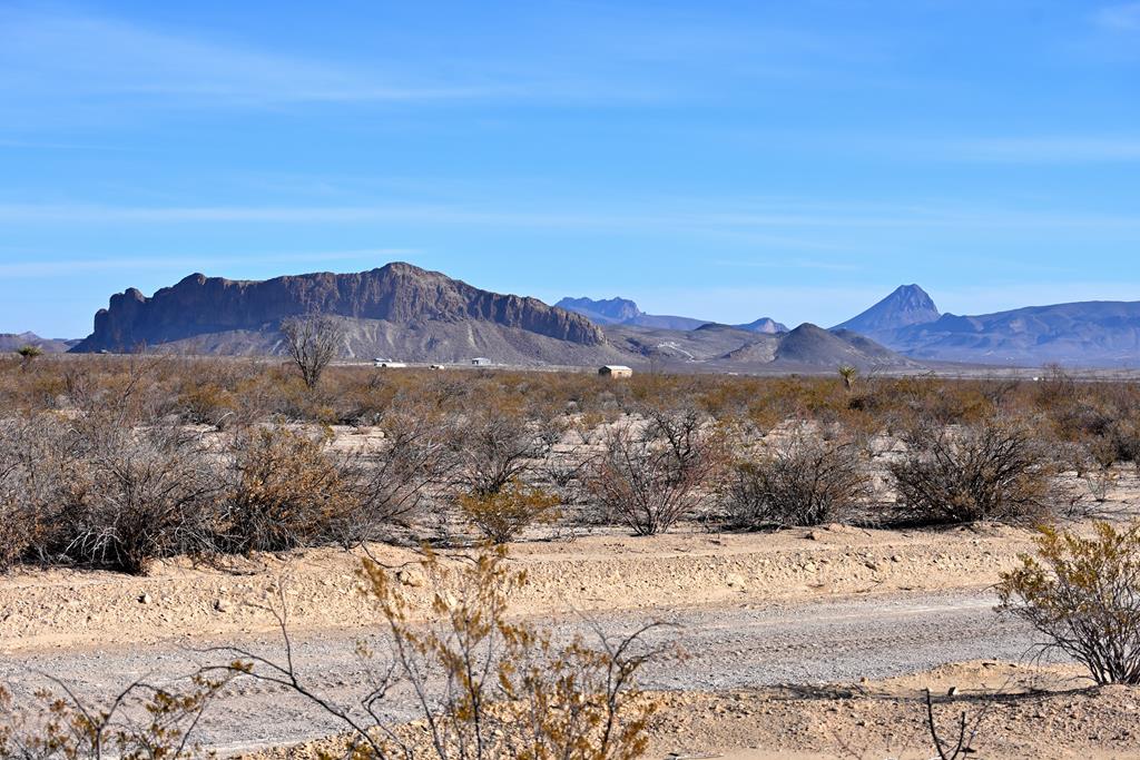 G367 S Martinez Rd, Terlingua, Texas image 2