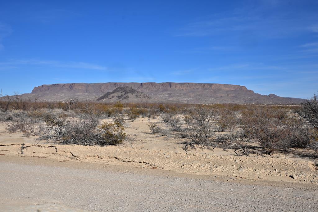 G367 S Martinez Rd, Terlingua, Texas image 3