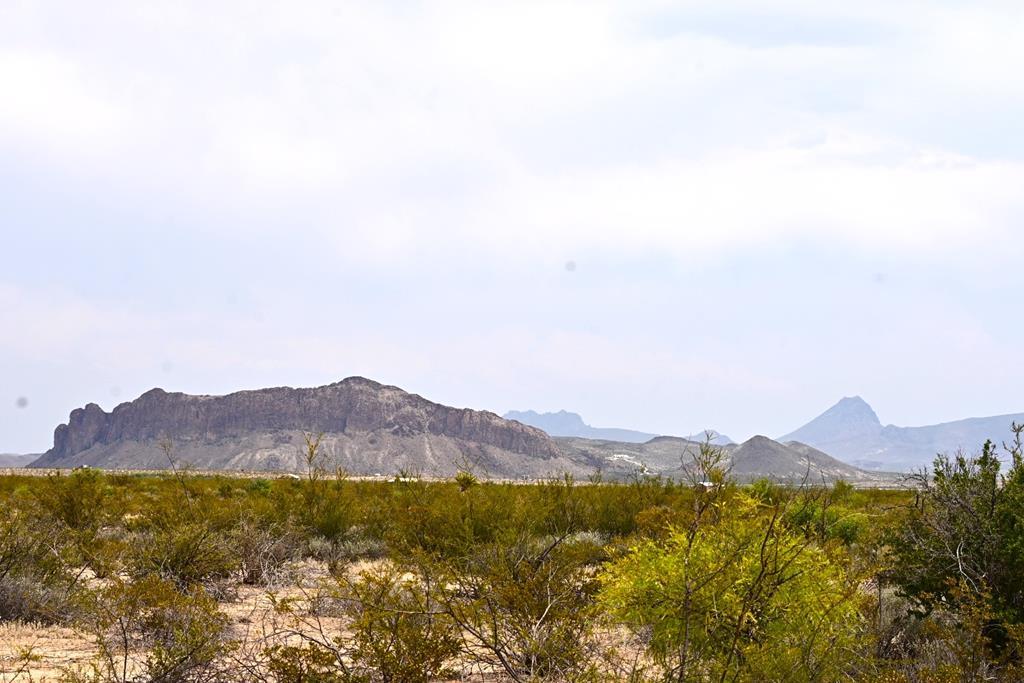 G367 S Martinez Rd, Terlingua, Texas image 3