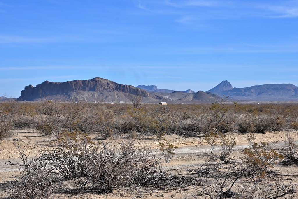 G367 S Martinez Rd, Terlingua, Texas image 9