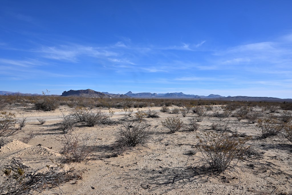 G367 S Martinez Rd, Terlingua, Texas image 8