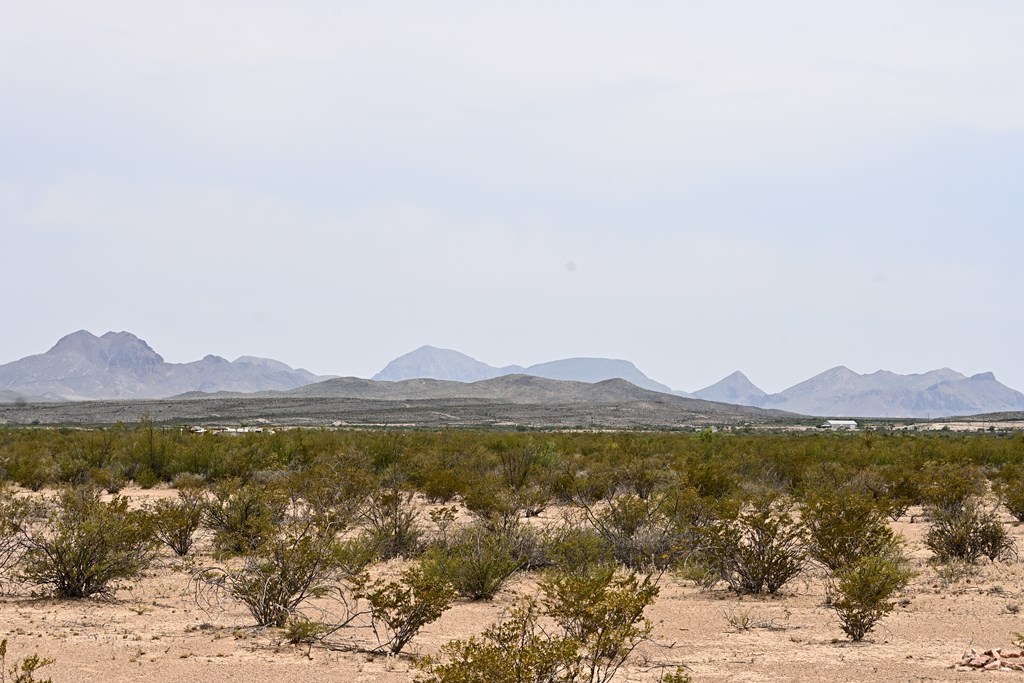 G367 S Martinez Rd, Terlingua, Texas image 8