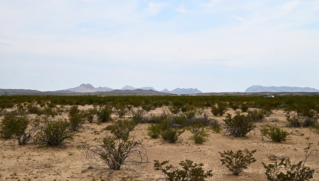 G367 S Martinez Rd, Terlingua, Texas image 4