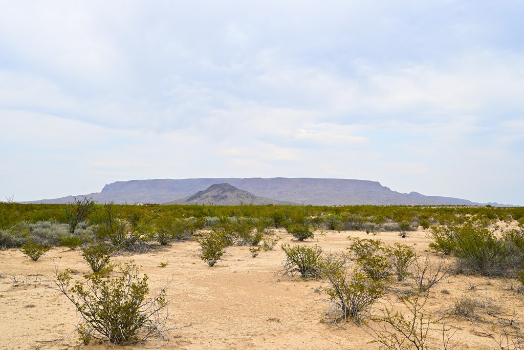 G367 S Martinez Rd, Terlingua, Texas image 7