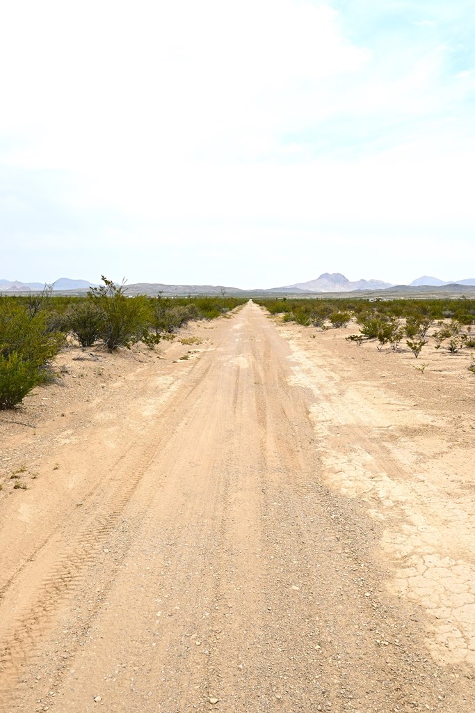 G367 S Martinez Rd, Terlingua, Texas image 5