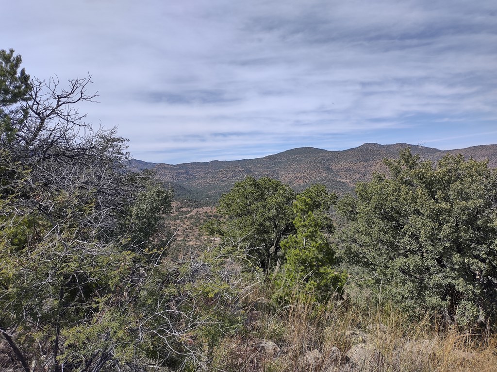 110 Apache Mountain Trail, Fort Davis, Texas image 2