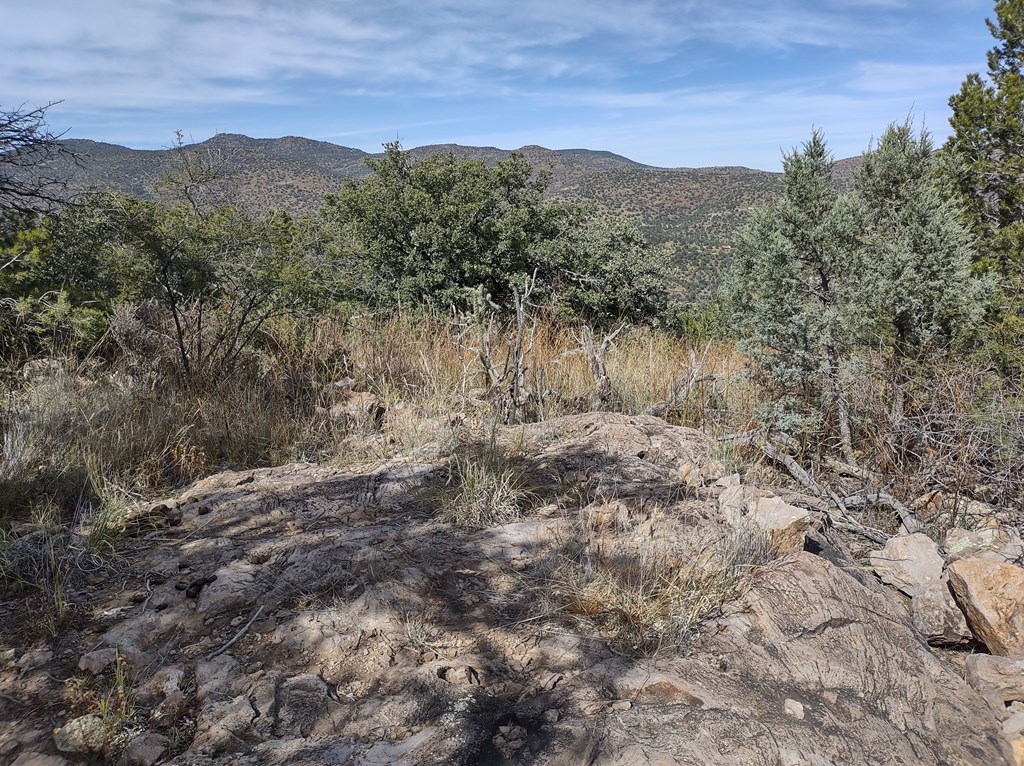 110 Apache Mountain Trail, Fort Davis, Texas image 10