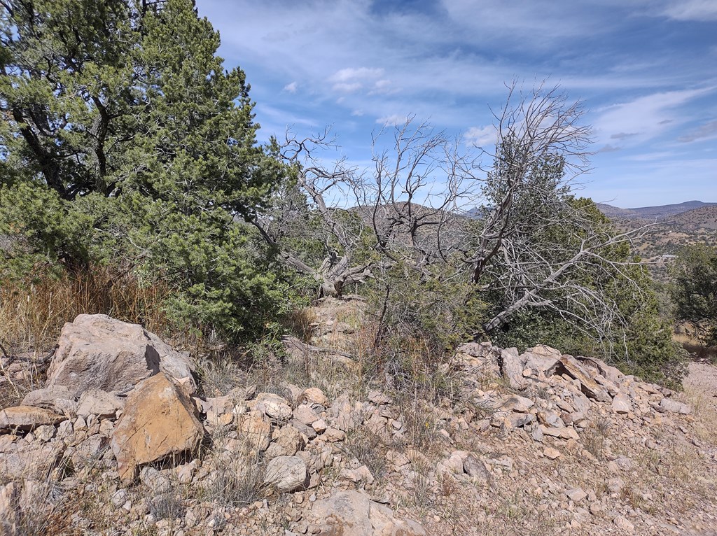 110 Apache Mountain Trail, Fort Davis, Texas image 8