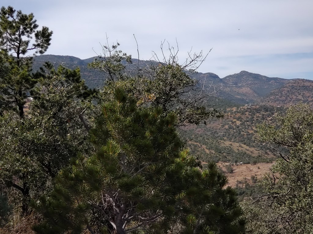 110 Apache Mountain Trail, Fort Davis, Texas image 16