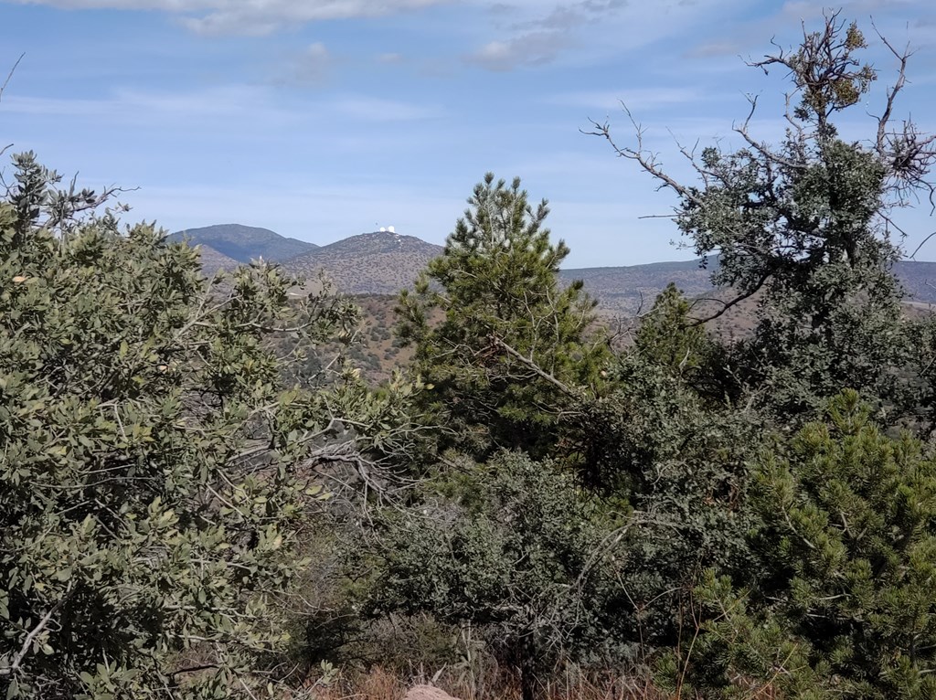 110 Apache Mountain Trail, Fort Davis, Texas image 14