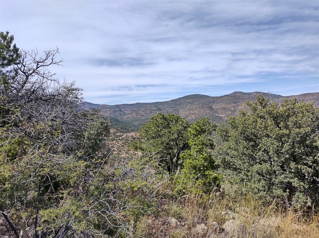 110 Apache Mountain Trail, Fort Davis, Texas image 4