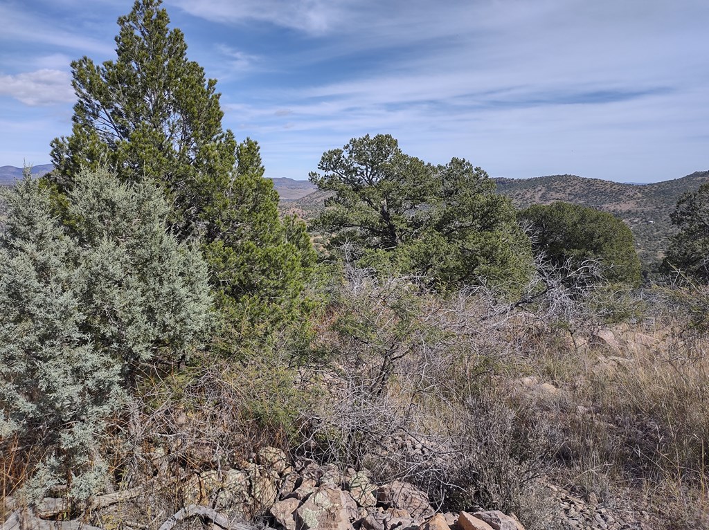 110 Apache Mountain Trail, Fort Davis, Texas image 11