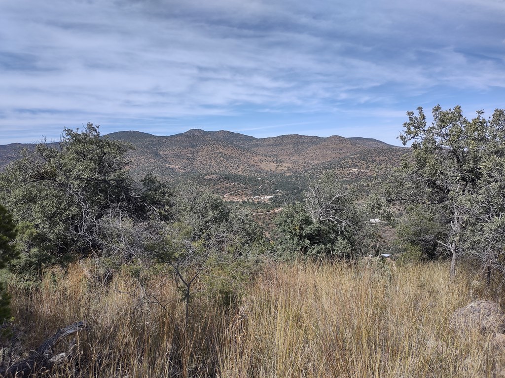 110 Apache Mountain Trail, Fort Davis, Texas image 3