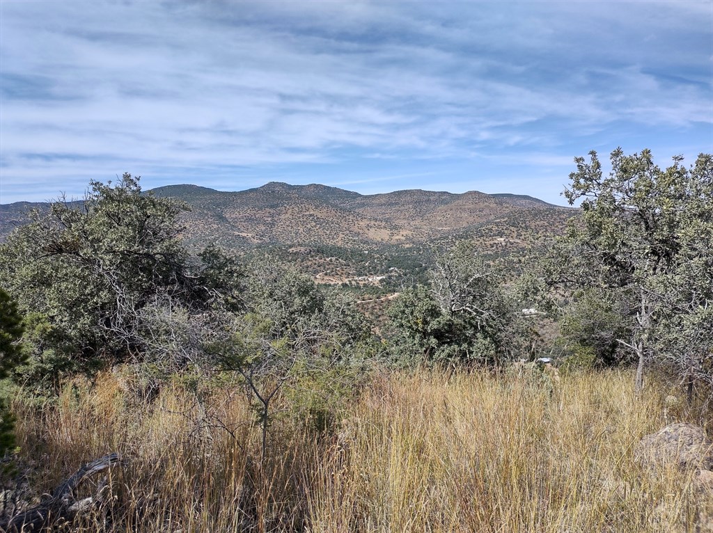 110 Apache Mountain Trail, Fort Davis, Texas image 6