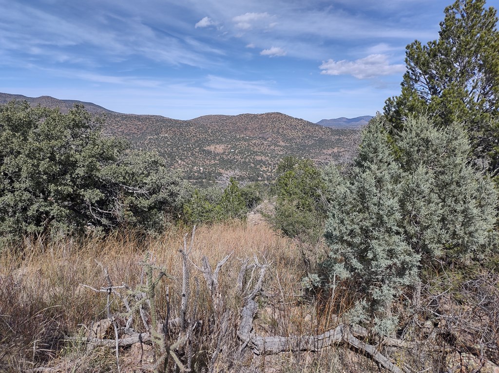 110 Apache Mountain Trail, Fort Davis, Texas image 7