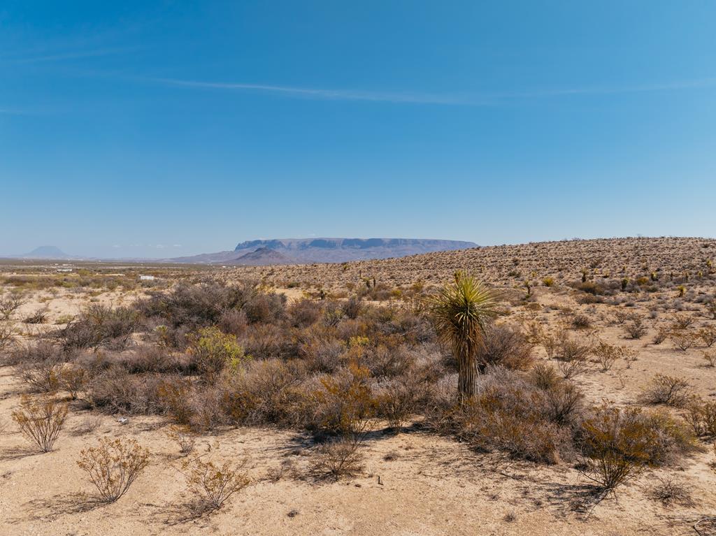 51675 118 South, Alpine, Texas image 1