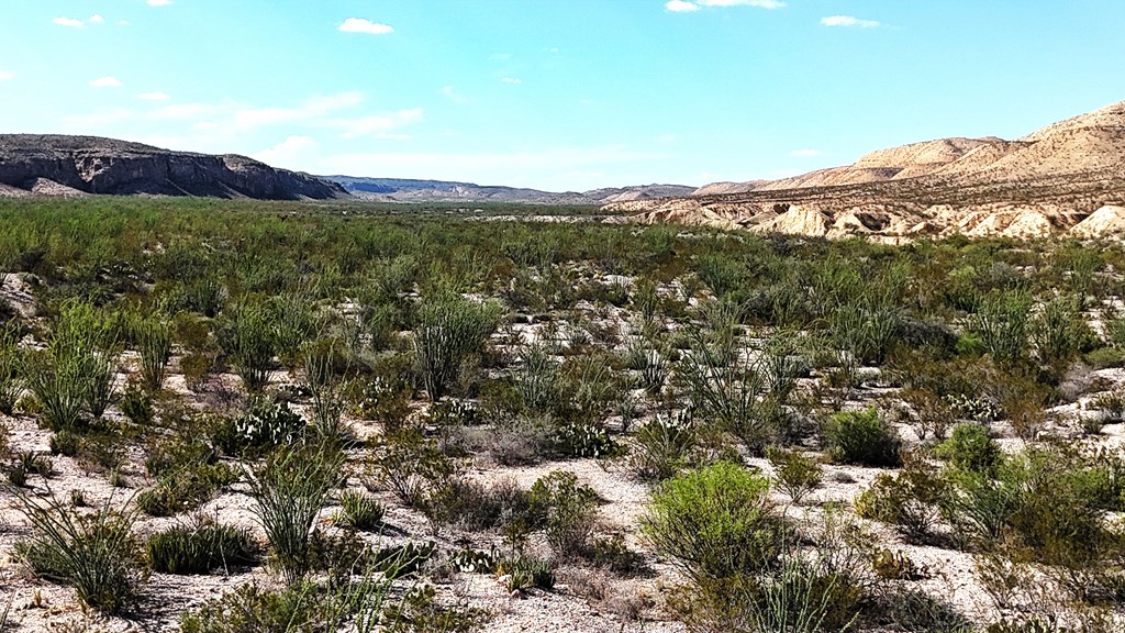 26885 Long Draw Rd, Terlingua, Texas image 42