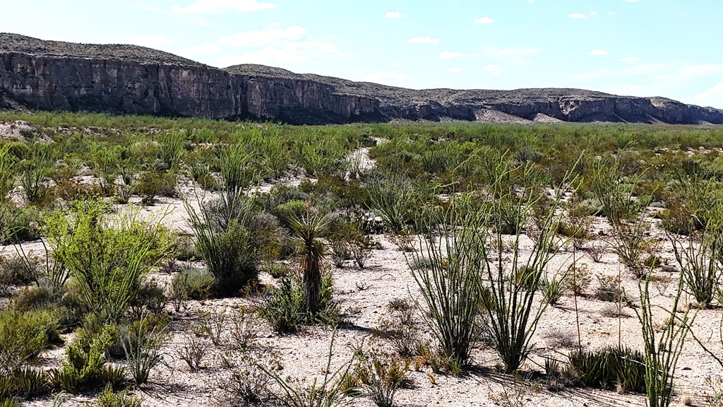 26885 Long Draw Rd, Terlingua, Texas image 41