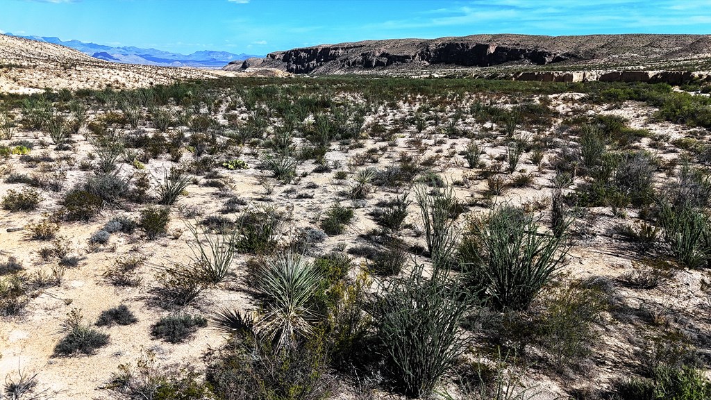 26885 Long Draw Rd, Terlingua, Texas image 50