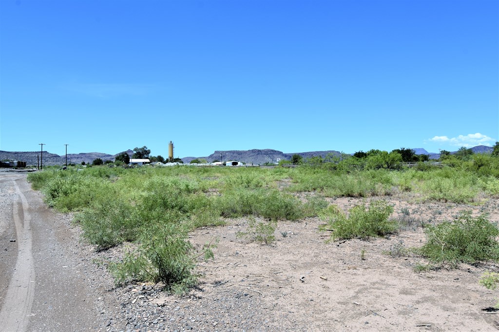 1150 W Holland Avenue, Alpine, Texas image 4