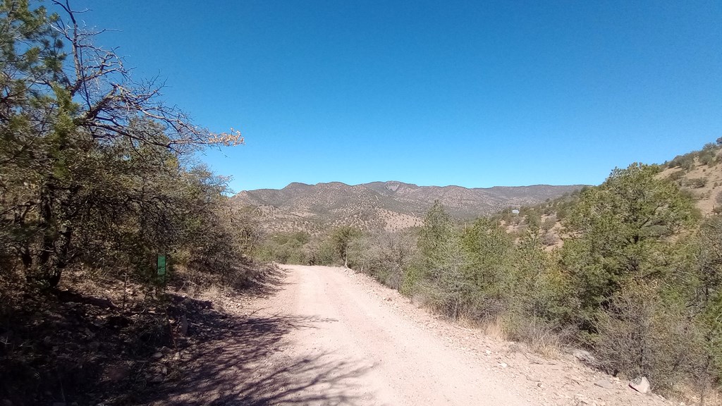 217 Squaw Valley Trail, Fort Davis, Texas image 14