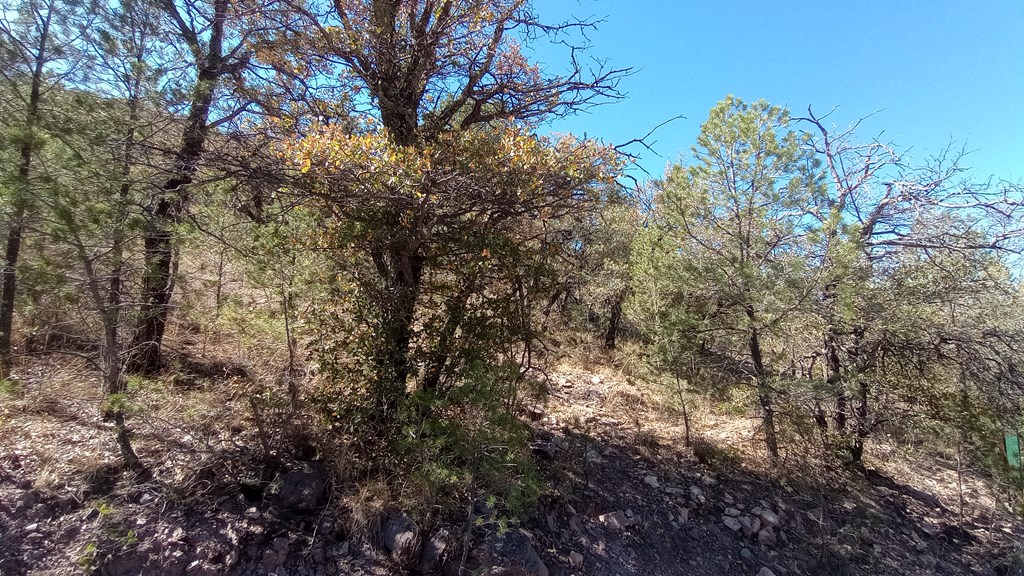 217 Squaw Valley Trail, Fort Davis, Texas image 9