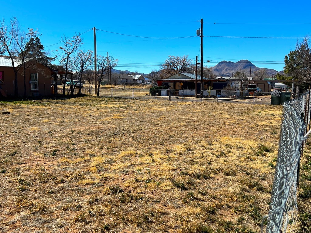 204 W Gallego Ave, Alpine, Texas image 4