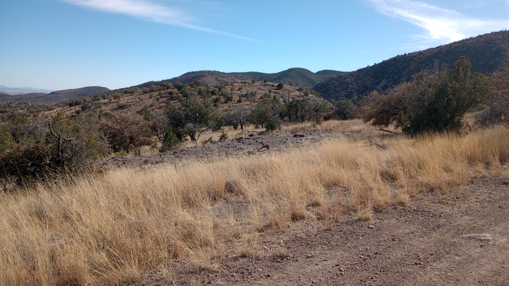 209 High Meadow Trail, Fort Davis, Texas image 3