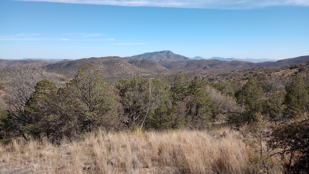 209 High Meadow Trail, Fort Davis, Texas image 8