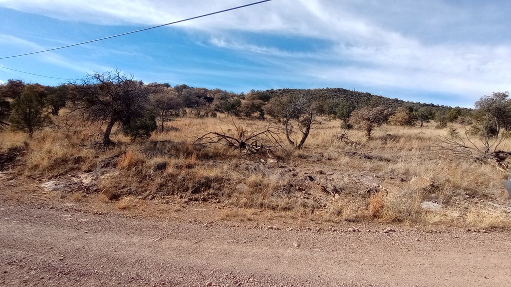 209 High Meadow Trail, Fort Davis, Texas image 14