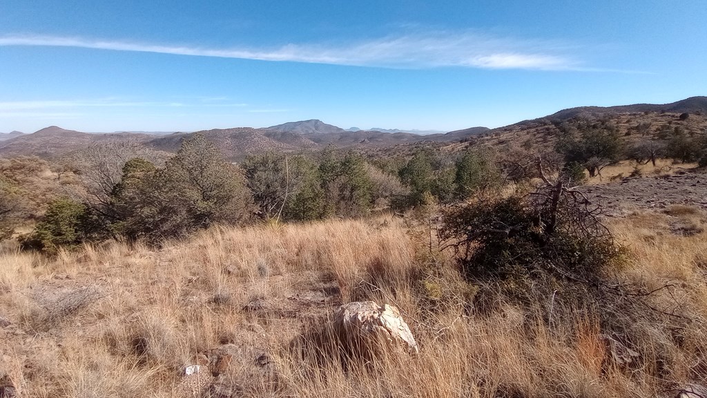 209 High Meadow Trail, Fort Davis, Texas image 11