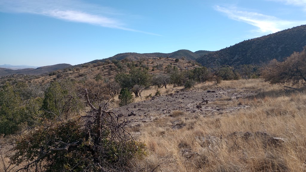 209 High Meadow Trail, Fort Davis, Texas image 10