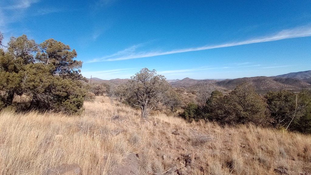 209 High Meadow Trail, Fort Davis, Texas image 6