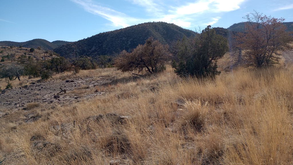 209 High Meadow Trail, Fort Davis, Texas image 9