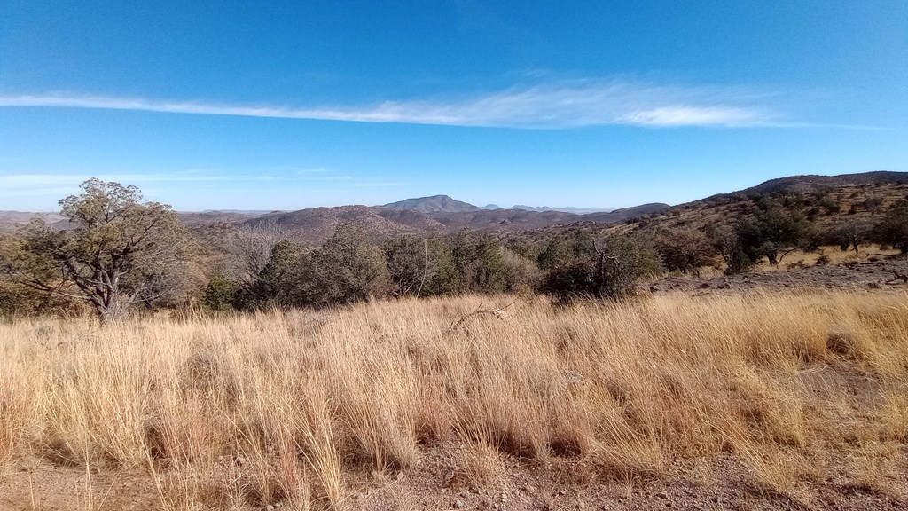 209 High Meadow Trail, Fort Davis, Texas image 4