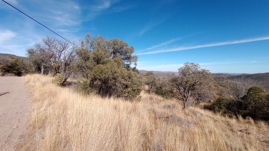 209 High Meadow Trail, Fort Davis, Texas image 13