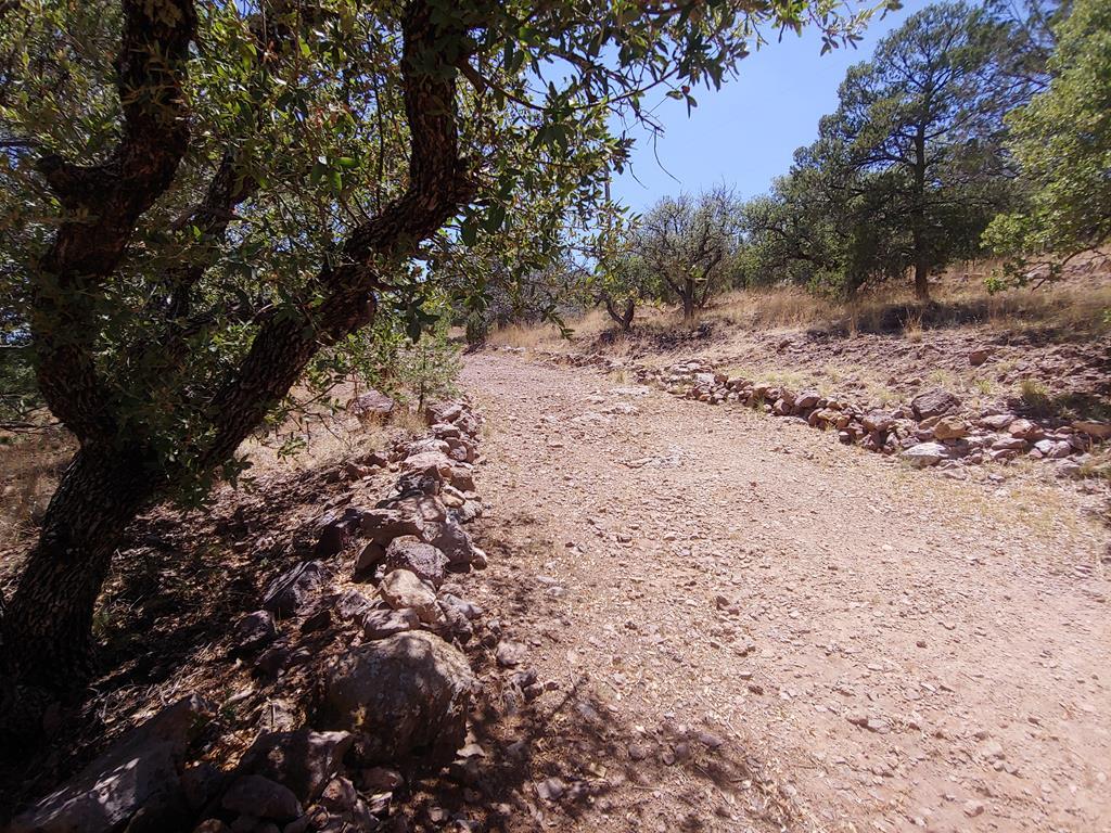 115 Apache Mountain Trail, Fort Davis, Texas image 21