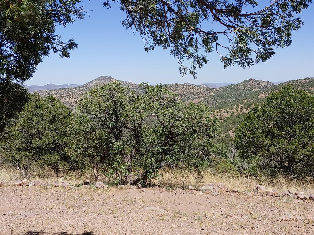 115 Apache Mountain Trail, Fort Davis, Texas image 8