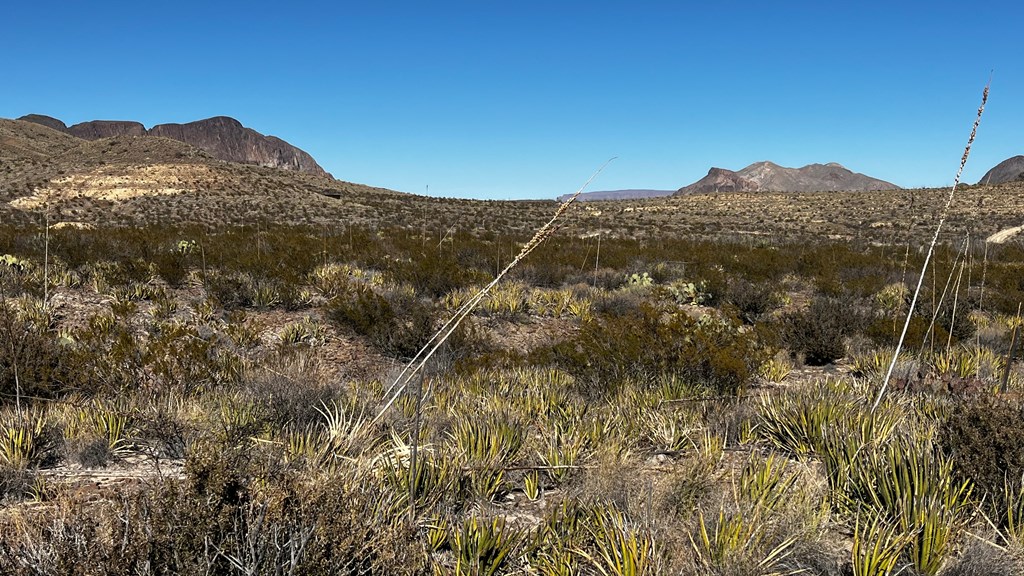 24423 Fellers Road, Terlingua, Texas image 5