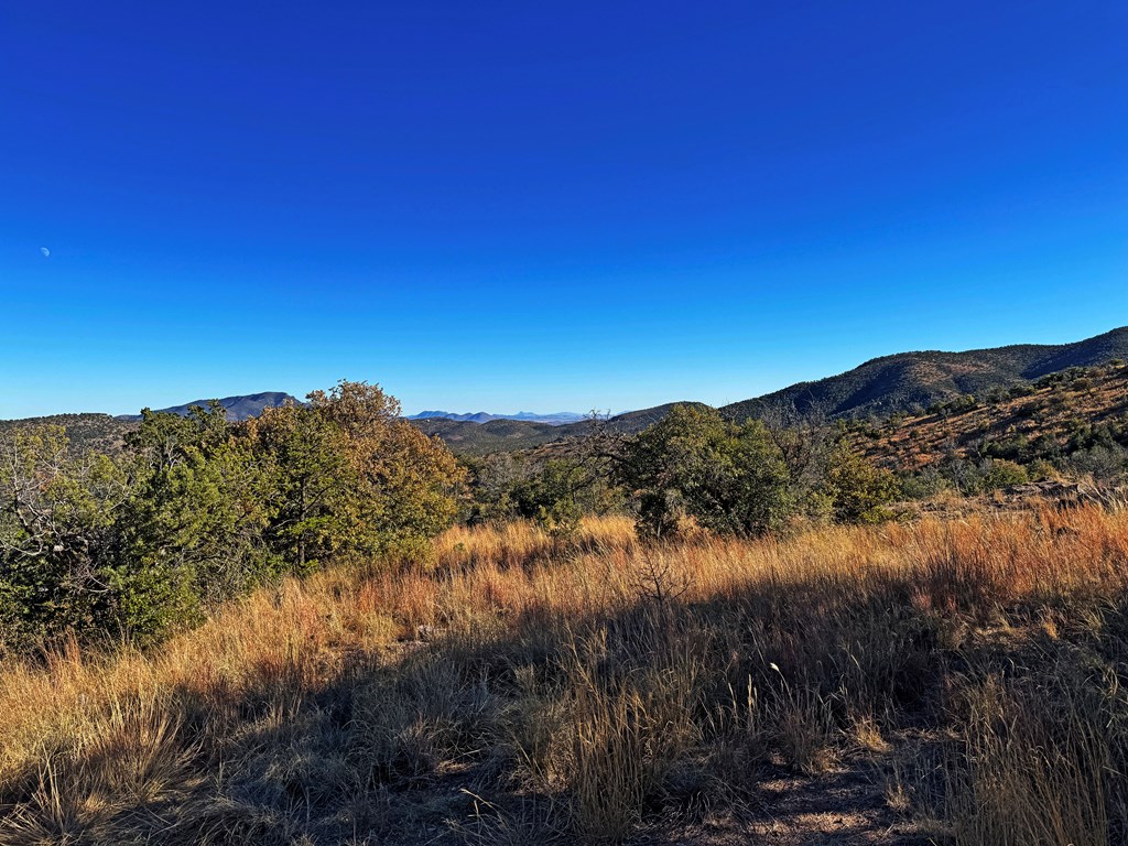 207 High Meadow Trail, Fort Davis, Texas image 10