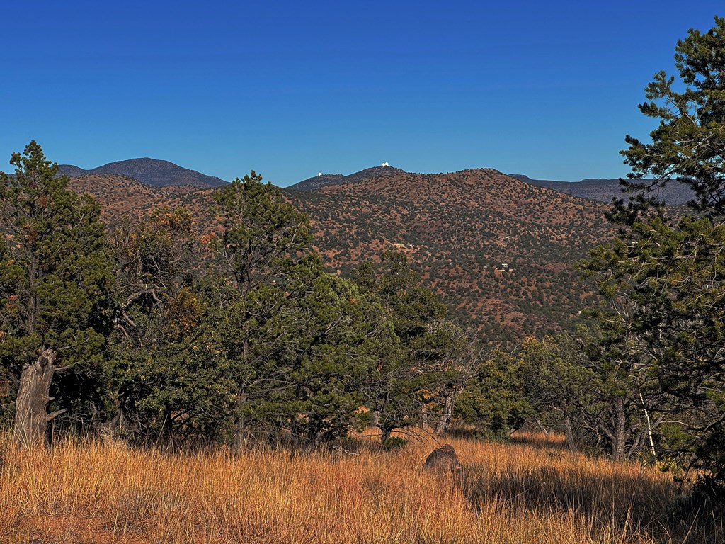 207 High Meadow Trail, Fort Davis, Texas image 12