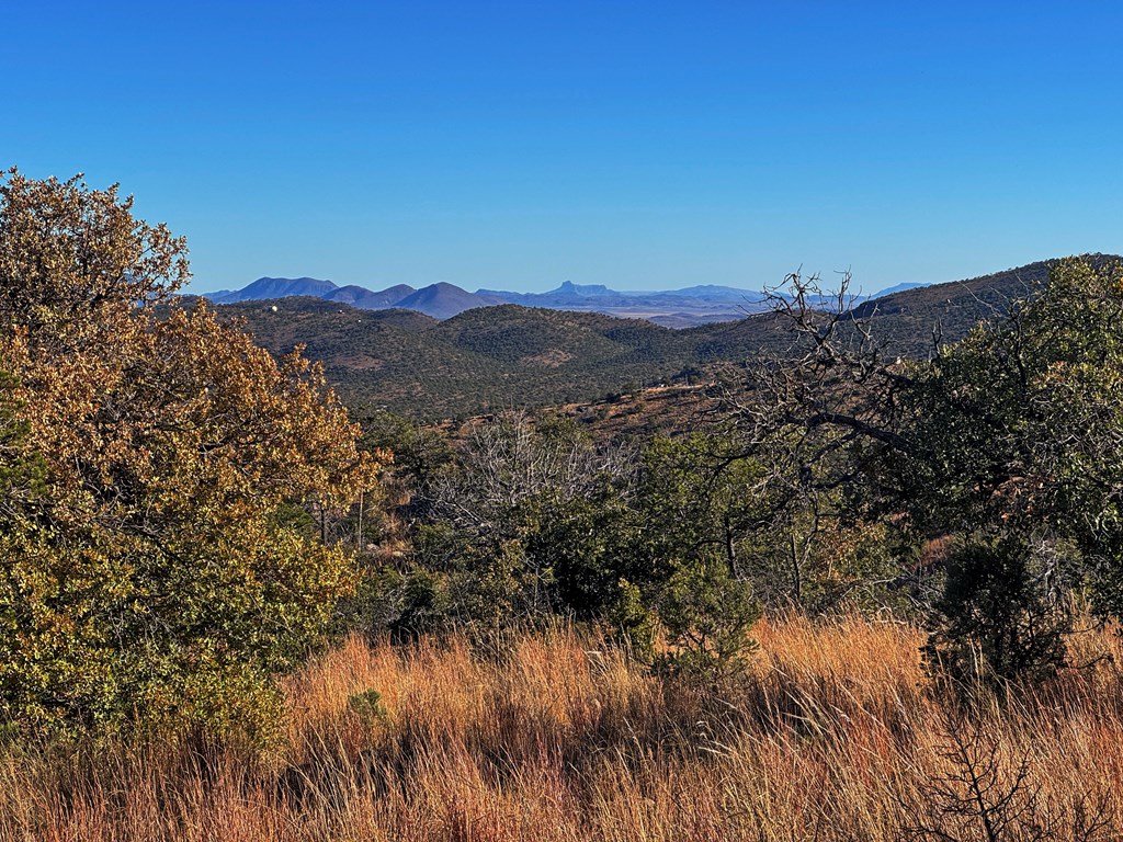 207 High Meadow Trail, Fort Davis, Texas image 13