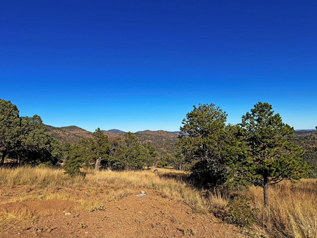 207 High Meadow Trail, Fort Davis, Texas image 11