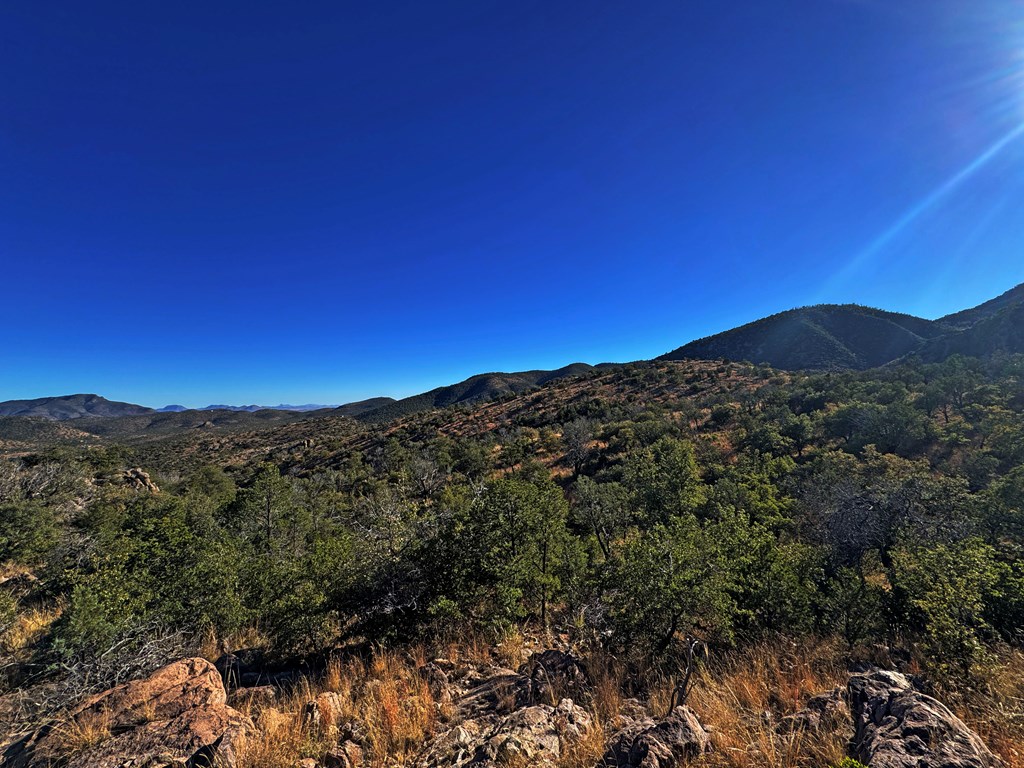 207 High Meadow Trail, Fort Davis, Texas image 17