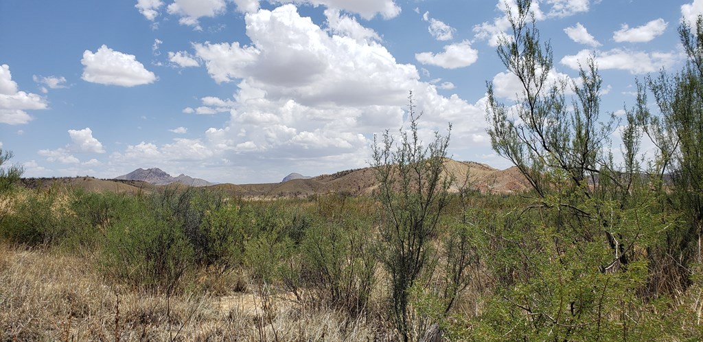 822 Tony Hess Rd, Terlingua, Texas image 19