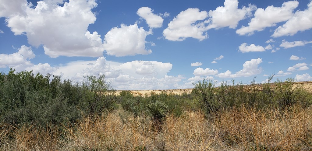 822 Tony Hess Rd, Terlingua, Texas image 18