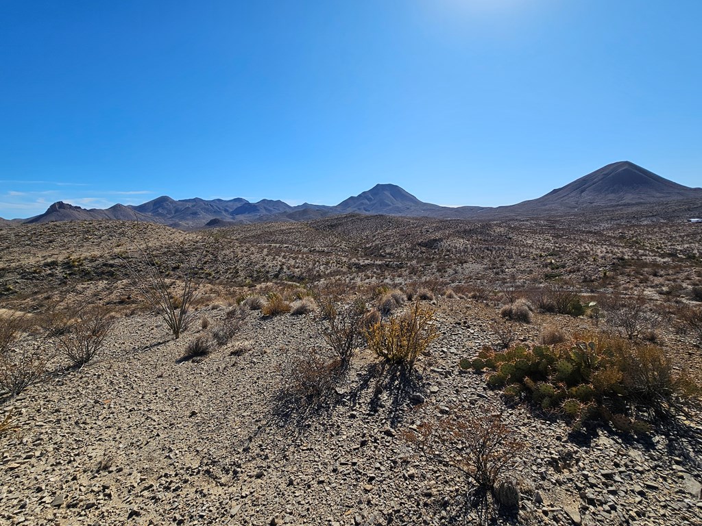 999 Point- A-view Rd, Terlingua, Texas image 12