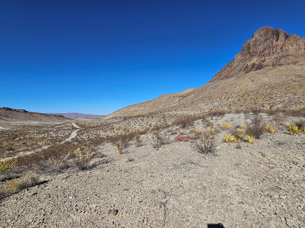 999 Point- A-view Rd, Terlingua, Texas image 11