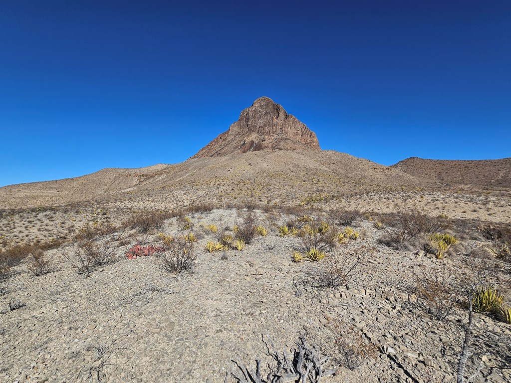 999 Point- A-view Rd, Terlingua, Texas image 15